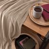 Lumaland Kuscheldecke, 100 % Coral-Fleece hellrosa, 220 x 240 cm Bild 3