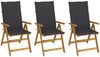 vidaXL Klappbare Gartenstühle 3 Stk. mit Auflagen Massivholz Akazie 3064089 Bild 1