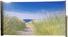 Seitenmarkise FABI Motiv Nordseeküste Mehrfarbig Polyester | Markise ausziehbar Sonnenschutz Windschutz Terrasse/Balkon Bild 2