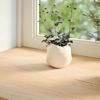 vidaXL Fensterbänke 2 Stk. Unbehandelt 120x25x2 cm Massivholz Eiche 4009106 Bild 3