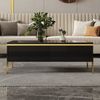 Merax Couchtisch hochglanz Sofatisch Beistelltisch mit goldenen Zierelementen (1-St), Wohnzimmertisch mit Doppelschubladen und Metallbeinen, 100x50x36cm Bild 4