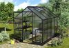 Vitavia Gewächshaus Apollo 5000, HKP 4mm, schwarz Bild 5