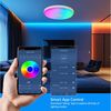 JDONG Deckenleuchte Dimmbar mit Bluetooth Lautsprecher 30/40/60CM, Deckenlamp mit Fernbedienung 3000-6500k RGB Farbwechsel, APP-Steuerung Musikwiedergabe für Schlafzimmer Kinderzimmer Bild 3