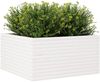 vidaXL Pflanzkübel Weiß 90x90x46 cm Massivholz Kiefer 3282425 Bild 4