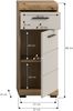 Hochschrank >Scout< in Evoak Oak / Kaschmir - 37x88x31cm (BxHxT) Bild 4