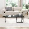 Satztisch Glas Metall 2er Set Modern Couchtisch Schwarz Bild 5