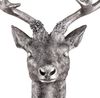 XXL Hirschgeweih Hirschkopf Geweih 10-Ender Silber Optik 48x32x61cm Bild 2
