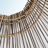 Der Tropical Spiegel - Natur - L Bild 5