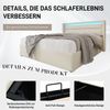 BlingBin Boxspringbett Stauraumbett Polsterbett (1-St), Doppelbett inkl. Farbwechselnde LED-Beleuchtungsleiste Bild 3
