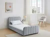 Vente-unique - ROGADI Bett SamtStoff Grau - B 201 cm x H 80 cm x L 97 cm Bild 1