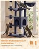 FEANDREA Kratzbaum XXL für Große Katzen mit 7 Ruhezonen und Sisal 55 x 45 x 205 cm Dunkelgrau Bild 4