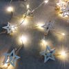 FHS LED-Lichterkette 100 Batteriebetrieb | 20 warmweiße LEDs, Motiv-Holzklammern Stern rot/weiß & Schneeflocke | Timer, 30 cm Zuleitung | Innen geeignet, 2x AA Bild 2