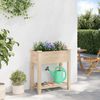 vidaXL Garten-Pflanzgefäß mit Regal Beige 71 x 37 x 76,5 cm 42006579 Bild 4