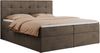 Boxspringbett, Doppelbett Matratze und Topper, Polsterbett - CENTOS - 160x200cm - Grau Velours - H4 Bild 3