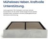 Home Collective Polsterbett Bett Doppelbett Bettgestell mit Lattenrost & Stauraum, platzsparend ohne Kopfteil, weiche Samtpolsterung, 120x200 cm grau Bild 3