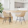 vidaXL Esszimmerstuhl 2 pcs Rattan und Eisen Natur 55 x 50 x 74 cm 42011556 Bild 3