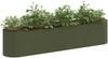 vidaXL Hochbeet im Garten Olive Grün 200 x 40 x 40 cm 8011694 Bild 3