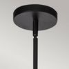 Elstead Lighting Daphne Pendelleuchte 1-flammig Mattschwarz Natur Bild 3