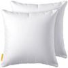 Gentle North Kopfkissen (40x40 cm groß) - 2er Set Kissen für Bett und als Dekokissen - Mit Reißverschluss für Füllung - Sofakissen - Zierkissen für Couch und Sofa - Ökotex - Waschbar bis 60° - Weiß Bild 5