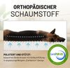 Lumaland Tierbett Hundebett Cord In-& Outdoor S 70x60x18cm olive vakuumiert, Hundesofa orthopädisch Hundekorb Tierbett waschbar hoher Rand Bild 5