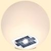 esotec LED Gartenleuchte Solarkugel LIANA CCT, ⌀40cm, 10 Farben, Fernbedienung, outdoor 102641, LED fest integriert Bild 4