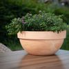 Pflanzschale Levy 23 cm marmor aus marmoriertem Terrakotta mit Ablaufloch frostbeständig dekorative Pflanzschale mit dicker Wandung für Garten Balkon und Terrasse Bild 2