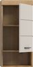 Hängeunterschrank B/H/T: 37x79x24 cm in Evoak Oak Nachbildung Bild 3