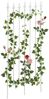 _ProductVariantImage_1bilg_102
