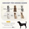 PawHut Tierbett für große Hunde unter 30 kg, Holzbeine, Polyester, mit abnehmbarem Sitzkissen, Dunkelgrau Bild 4