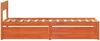 vidaXL Massivholzbett ohne Matratze Wachsbraun 100x200 Kiefernholz 846791 Bild 5