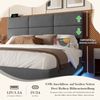 LVHOM Polsterbett 160x200cm mit LED und USB, Einzelbett mit Hydrauliksystem, Stauraumbett Samtstoff, Bettgestell Massiv, Boxspringbett, Grau Bild 5