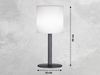2er SET RGB Tischlampen 30cm mit Fernbedienung, per Solar & USB aufladbar Bild 3