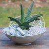 matches21 HOME & HOBBY Blumentopf Flache Pflanzschalen für draussen Dekoschalen rund Rost-Optik 28 cm (2 St), Blumen-Schale als wetterfeste Friedhof-Schale Grab-Schmuck Grabschale Bild 4