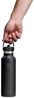 Hydro Flask Trinkflasche 21 OZ Standard Flex Straw Cap, 621 ml, TempShield® doppelwandige Vakuumisolierung Bild 3