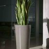 Pflanztopf TUIT 33 cm taupe Bild 2