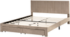 Bett mit Schubladen LONZAC Samtstoff Taupe 160 x 200 cm Bild 5