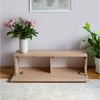 Platan Room Lowboard, Fernsehschrank 105/140/160/210/280cm breit Hängend Stehend Matt Bild 2