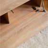 Platan Room Lowboard, Fernsehschrank 105/140/160/210/280cm breit Hängend Stehend Matt Bild 3