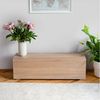 Platan Room Lowboard, Fernsehschrank 105/140/160/210/280cm breit Hängend Stehend Matt Bild 5