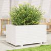 vidaXL Pflanzkübel Weiß 90x60x49,5 cm Massivholz Kiefer 3282565 Bild 3
