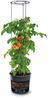 KAGM Pflanzkübel Blumenkübel Rankhilfe Blumentopf für Tomaten Tomatentopf 3er SET 12L (Tomatentopf, Rankhilfe) Bild 4