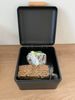 ADOB Brotkasten Schwarz-Matt aus Metall, Metall Bild 3