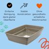2er Set Katzenklo XXL Katzentoilette offen ohne Deckel Katzen Schalentoilette Klo Toilette Zubehör Doppelpack Sparpaket Katzentoiletten Bild 3