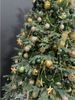 Kaemingk Weihnachtsbaumkugel, Weihnachtskugeln Kunststoff 10cm 4 Stück - Piniengrün Bild 2