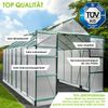 BRAST Gewächshaus Aluminium mit Fundament rostfrei 6mm Platten 430 x 250 x 235 cm Grün - TÜV geprüft Bild 2