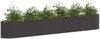 vidaXL Hochbeet im Garten Schwarz 300 x 40 x 40 cm Stahl 8011726 Bild 3