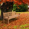 Gartenbank Teakbank VUZAR - Holz Teak 220x72x92 cm | Holzbank 220 Cm Gartenbank Sitzbank Mit Lehne Wetterfest Bank Garten Terrasse Bild 2
