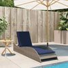 vidaXL Sonnenliege mit Auflage Grau 60x205x73 cm Poly Rattan 368284 Bild 3