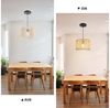 Zedelmaier Pendelleuchte Hängelampe hängend Deckenlampe E27x1/Max. 40 W, ohne Leuchtmittel, ohne Leuchtmittel, Geeignet für Esszimmer Wohnzimmer Schlafzimmer Flur Bild 2