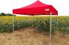 Premium Gartenpavillon 3 x 3 m Wasserdicht Aluminium | Höchste Beständigkeit - mit 3 Wänden - Blau Bild 2